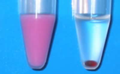 dLUTE SEQ BigDye reagent
