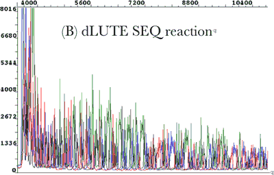 dlute seq bigdye dilution