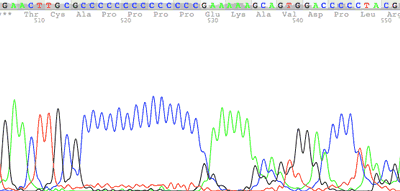 slippaged on a mononucleotide C run