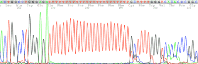 microsatellite sequence