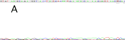 trace run too far