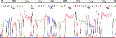 example of unseq dna sequencing