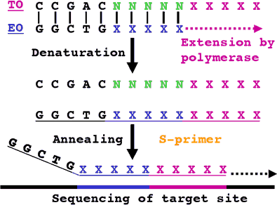 principle of UniSeq DNA sequencing
