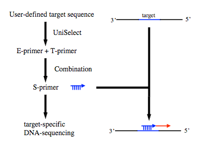 uniseq principle