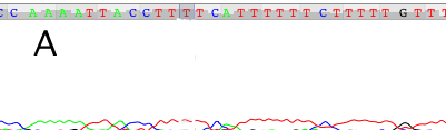trace with weak end signal processed channel