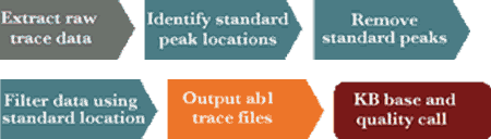 CounterTrace II DNA sequencing software overview