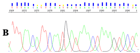 CounterTrace DNA sequencing processing