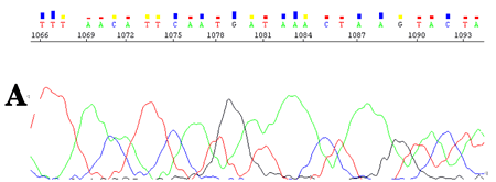 DNA sequencing trace before CounterTrace