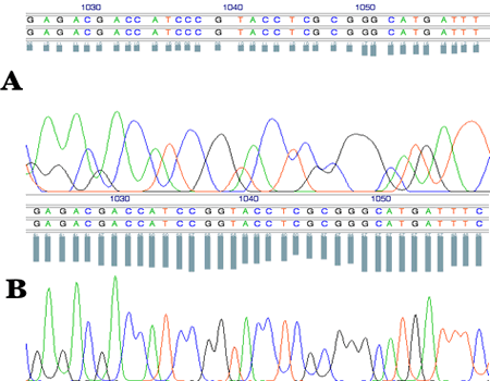 CounterTrace-before-after