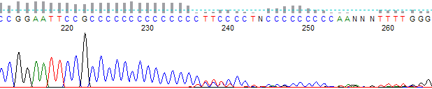 Figure 5. Hard stop after a C run