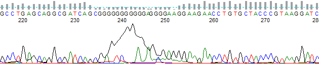 Figure 1. G dye blob near 190 bases