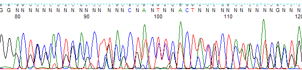 sanger sequencing chromatogram viewer