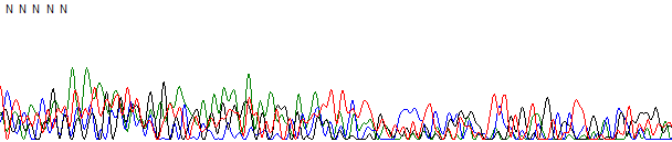 Failed DNA sequencing reaction