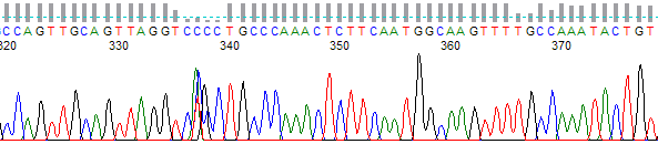 Figure 1. Processed trace showing a bubble spike.