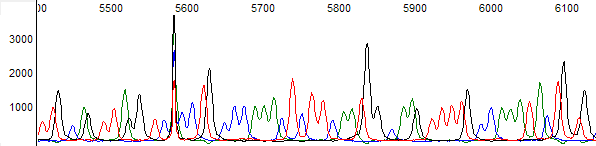 Figure 2. Raw channel data at the same location as Figure 1.