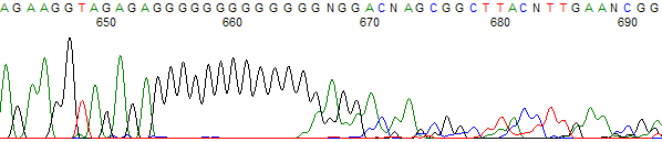 Figure 3. Signal drop off after long G run