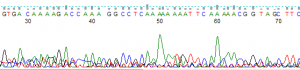 Noisy or Weak DNA Sequencing Traces