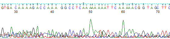 weaktracekb