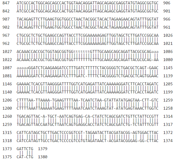 kb_pgem_megablast