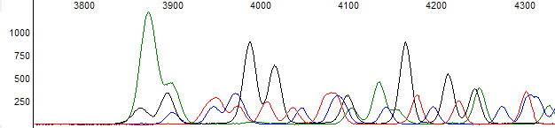 Figure 3. Example of late dye signal