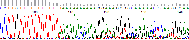 monoslippage2