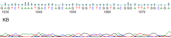 ptboxpage2-0kb