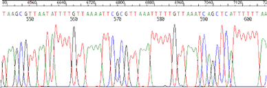 uniseq-dna-sequencing-example