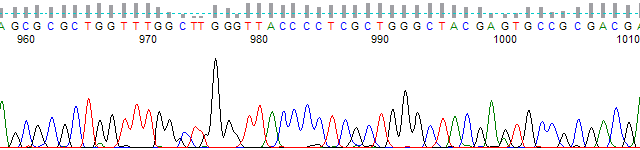 PT_580