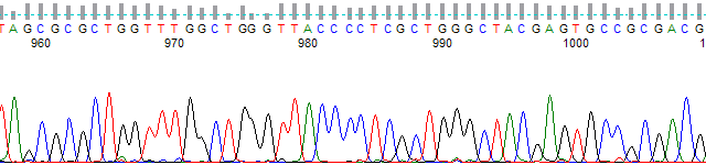 PT_600