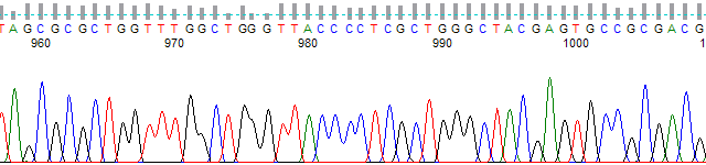 Auto PeakTrace 6 