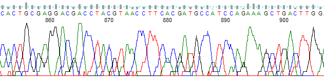 KB trace file at base 900