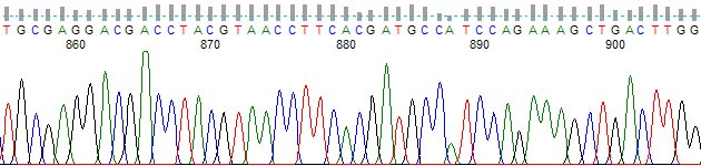 PeakTrace with Clean Baseline