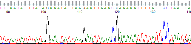 PeakTrace 5 peak normalization.