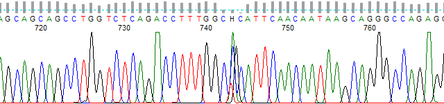 Figure 2. Result of sharp bubble spike on the processed trace and basecall.