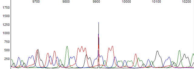 Sharp spike caused by a gas bubble.