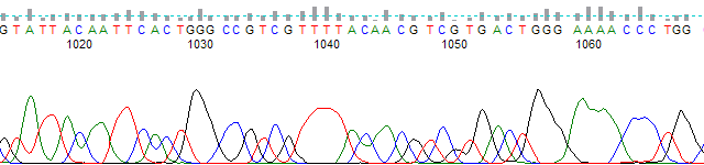 KB trace at base 1010 − 1070.