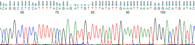 KB trace with extra normalization.