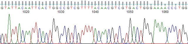 PeakTrace trace at bases 1010 − 1070 using standard settings.