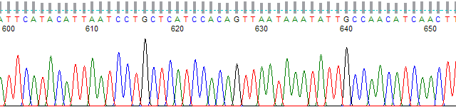 Figure 3. PeakTrace processed trace with standard settings.