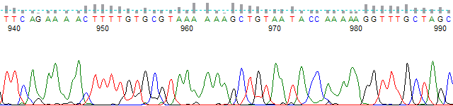 PT_ALL_TRIM_1000