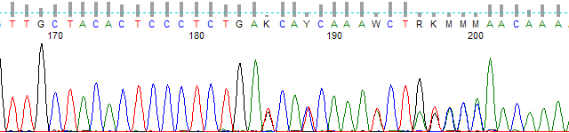 Figure 1. KB basecalled trace. Mixed peak threshold 30%.