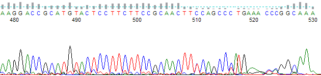 Original KB basecalled PCR trace