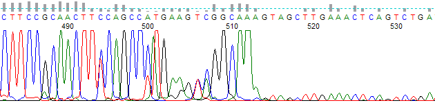 PeakTrace Basecalled PCR Trim Base 500