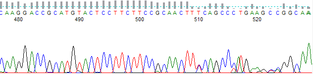PeakTrace basecalled trace using PCR trim base of 700