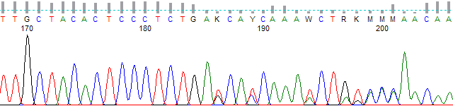 Figure 2. PeakTrace basecalled trace.