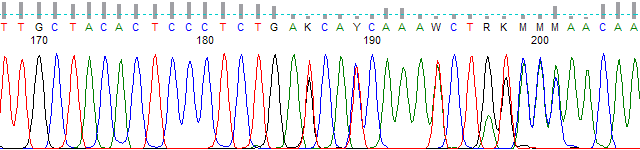 peaktrace_picketfence