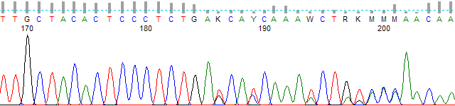 Figure 3. Polymorphic region basecalled using PeakTrace 6 and a 30% threshold.