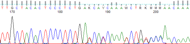 Figure 4. Polymorphic region basecalled using no peak resolution and a 30% threshold.