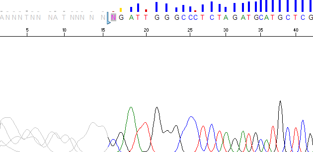 Sequencer Scanner with no ABI limits range set.