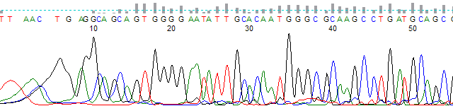 Figure 1. KB basecalled trace before manual editing.